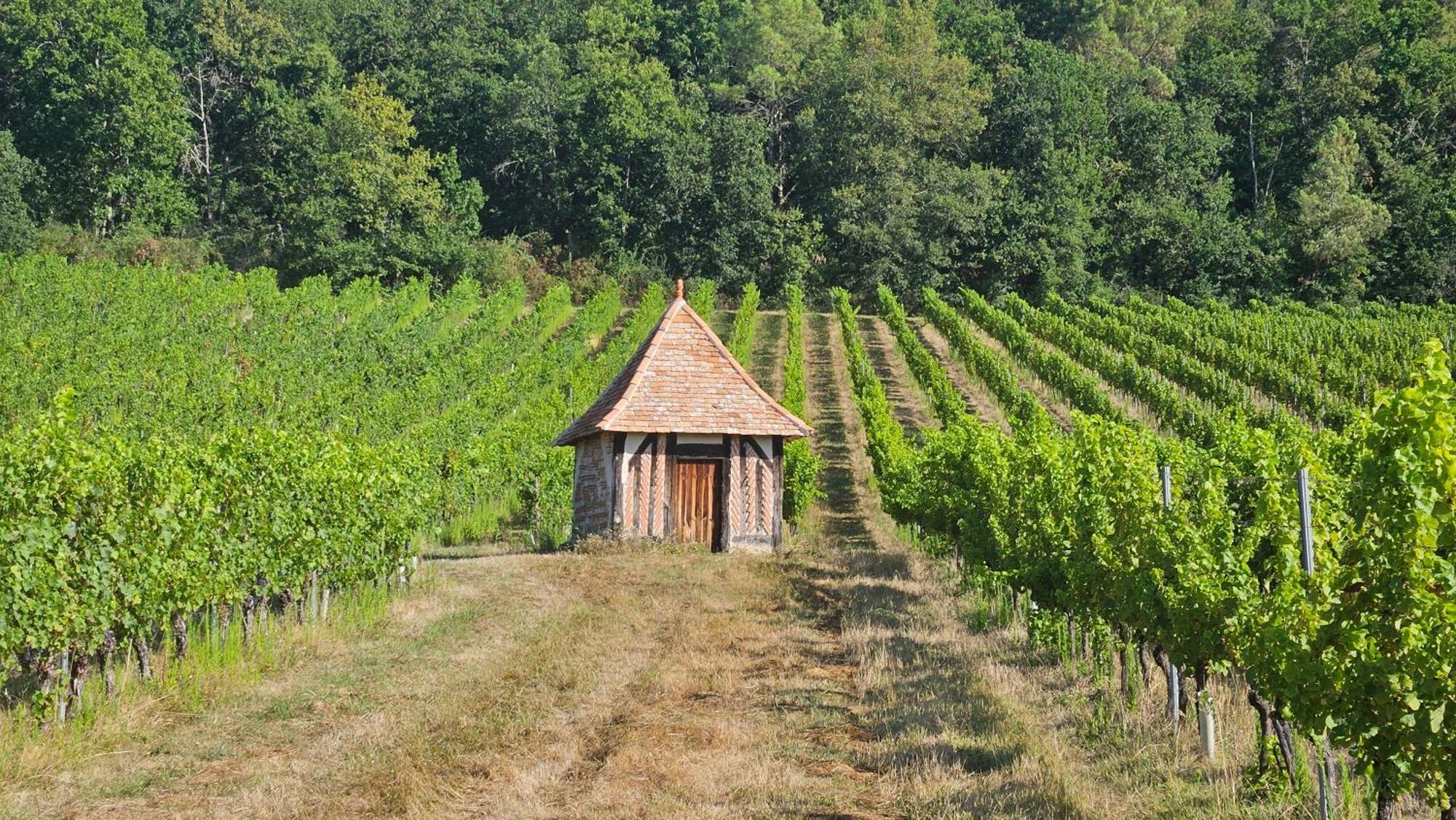 Chambres Et Gites Les Deux Chenes Pres De Bergerac Le Fleix Exterior foto
