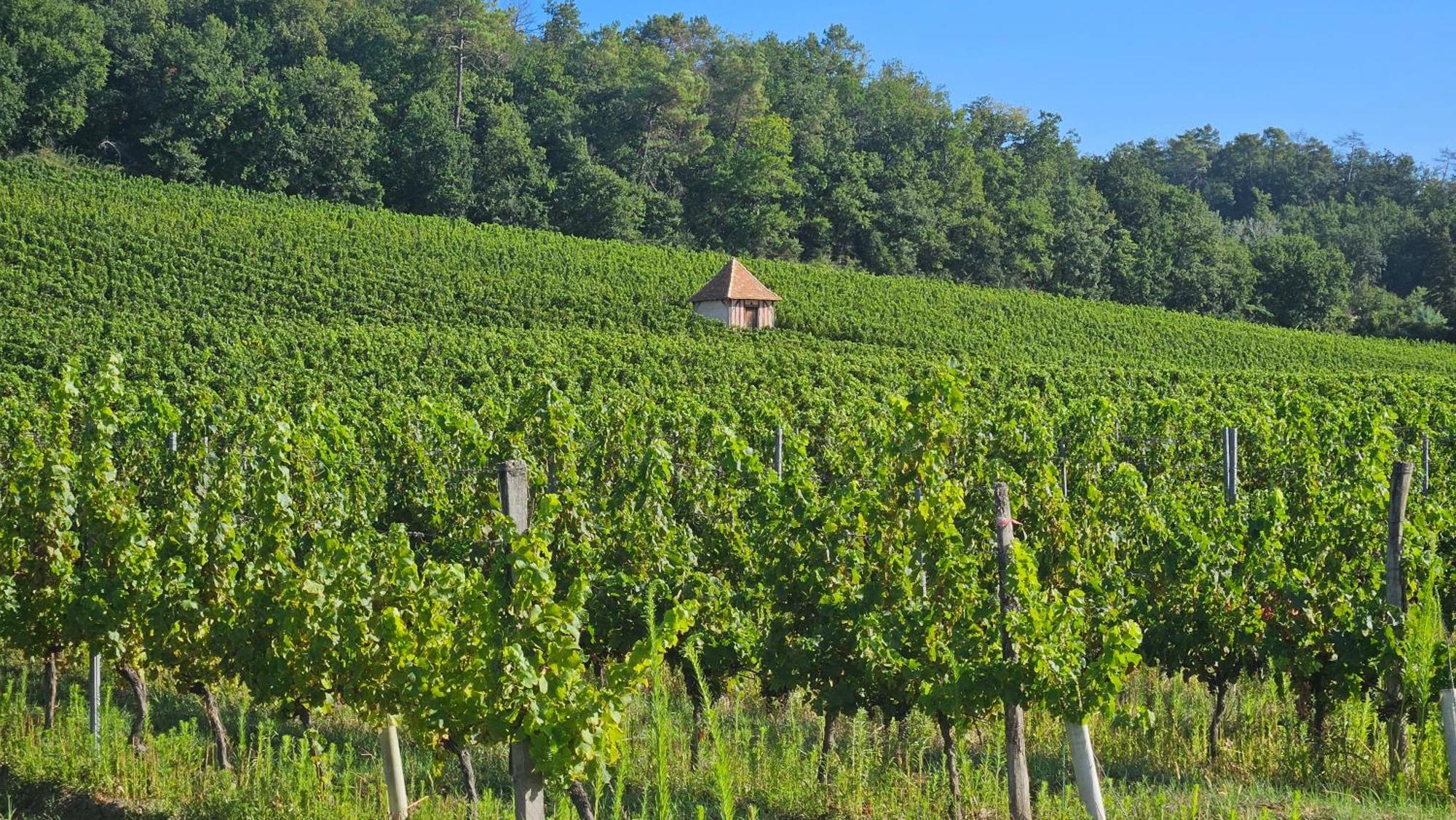 Chambres Et Gites Les Deux Chenes Pres De Bergerac Le Fleix Exterior foto