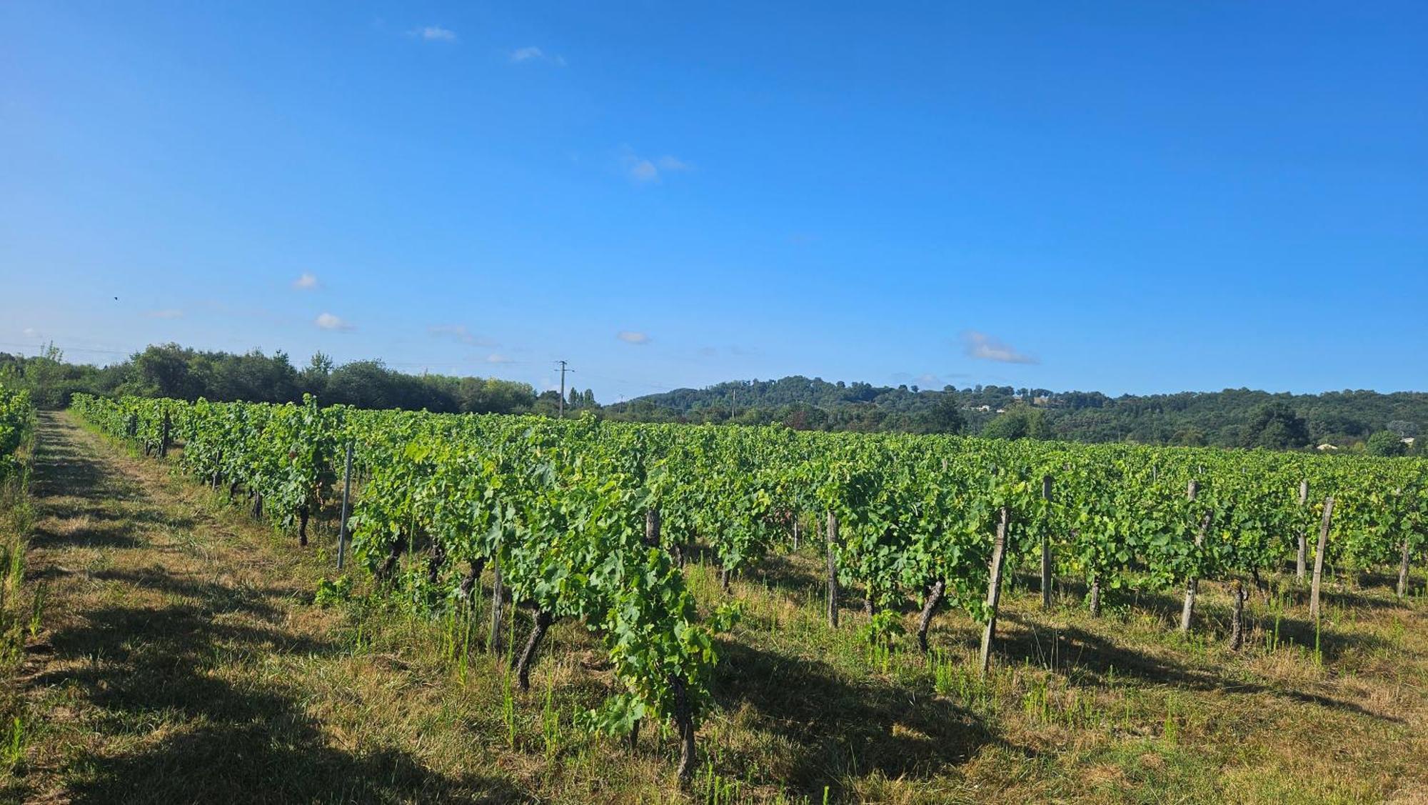 Chambres Et Gites Les Deux Chenes Pres De Bergerac Le Fleix Exterior foto