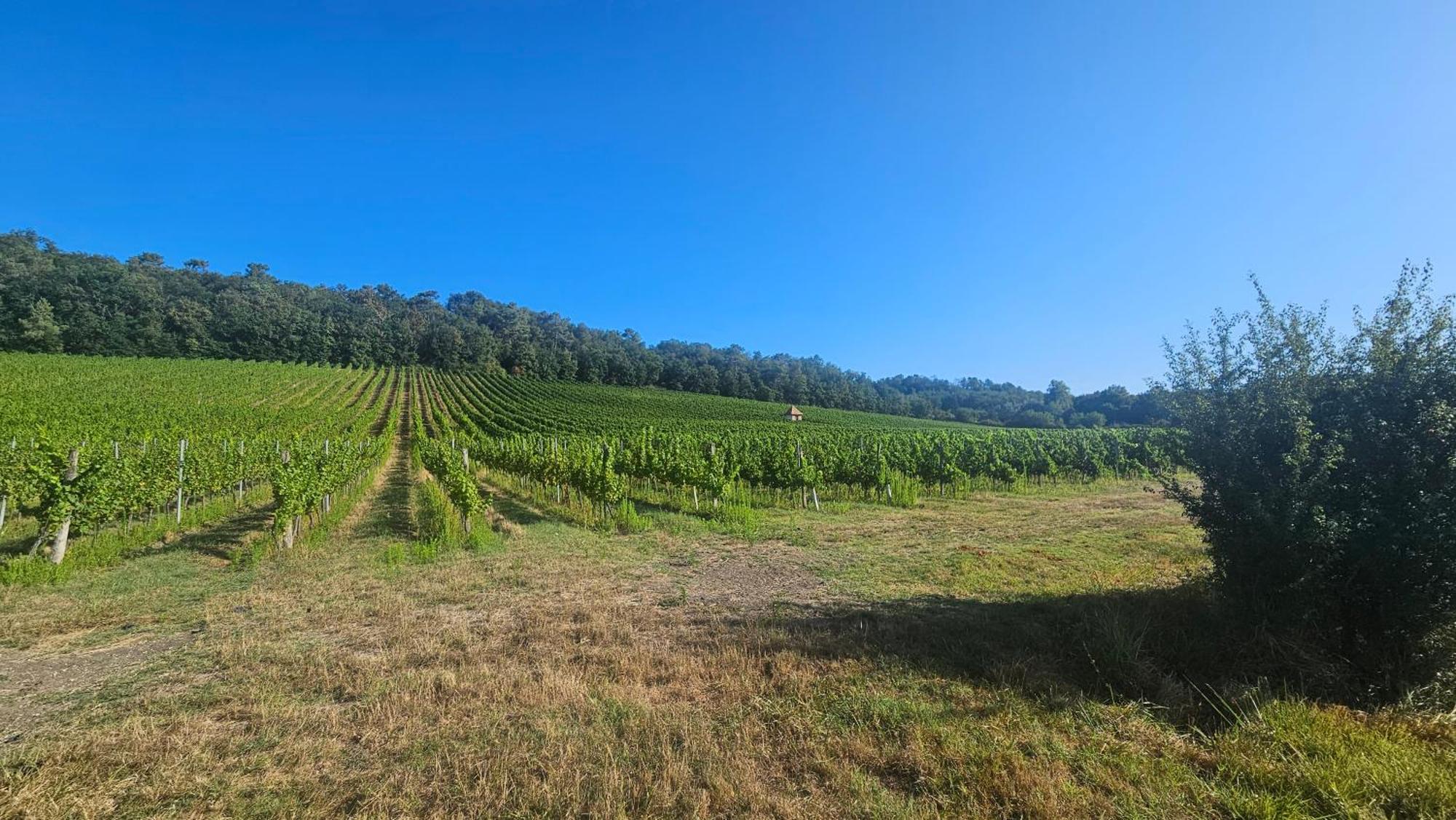 Chambres Et Gites Les Deux Chenes Pres De Bergerac Le Fleix Exterior foto